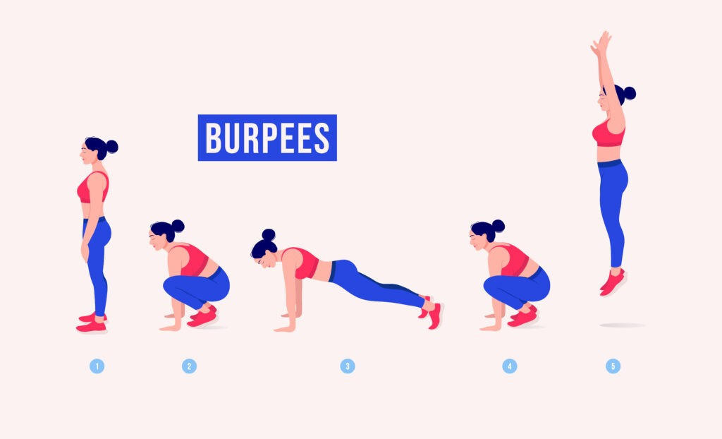 Burpee