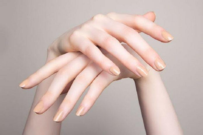 Chất béo giúp nuôi dưỡng làn da đẹp
