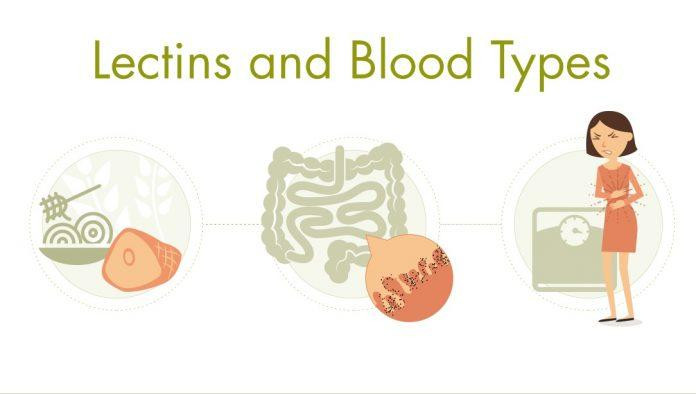 Lectin và sức khỏe