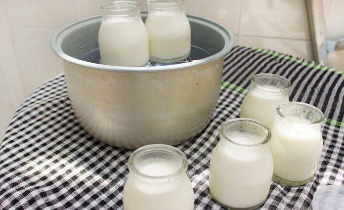 Ủ sữa chua trong 6 - 8 tiếng