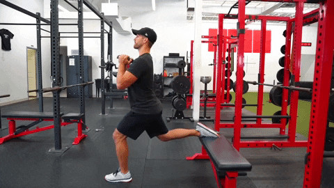 Split squats