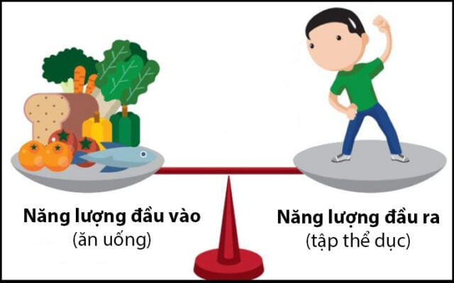 Có Thể Giảm Cân Chỉ Với Thay Đổi Chế Độ Ăn Uống  Không?