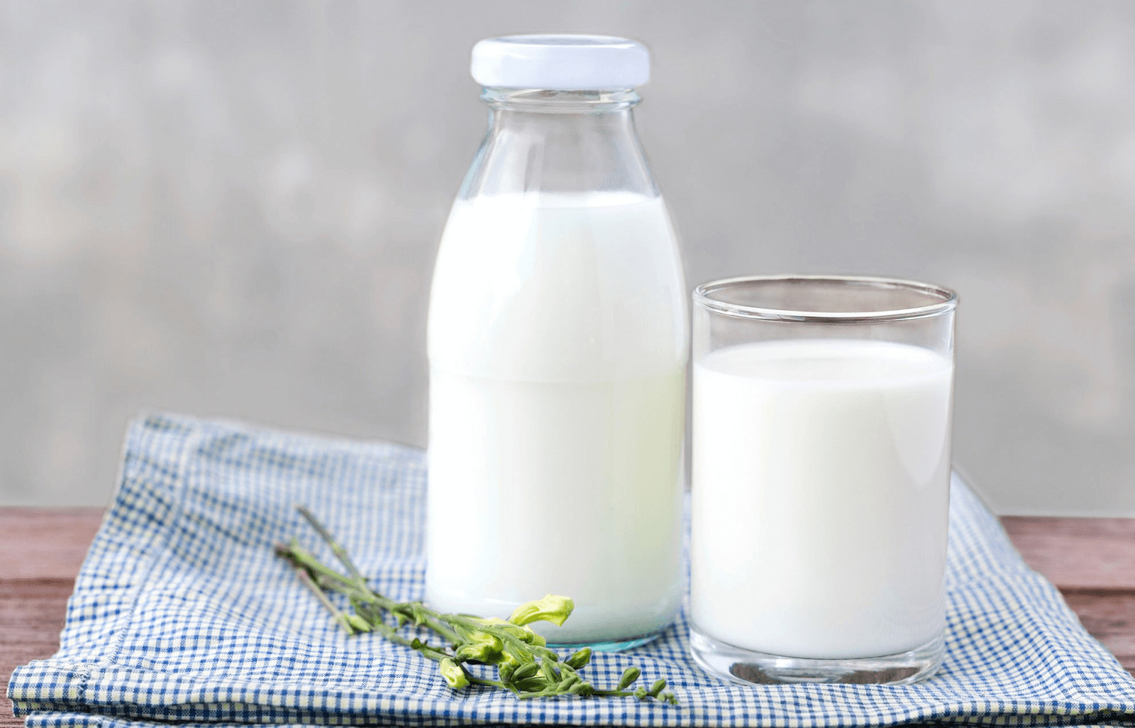 Sữa Có Giúp Bạn Tăng Cân Không?