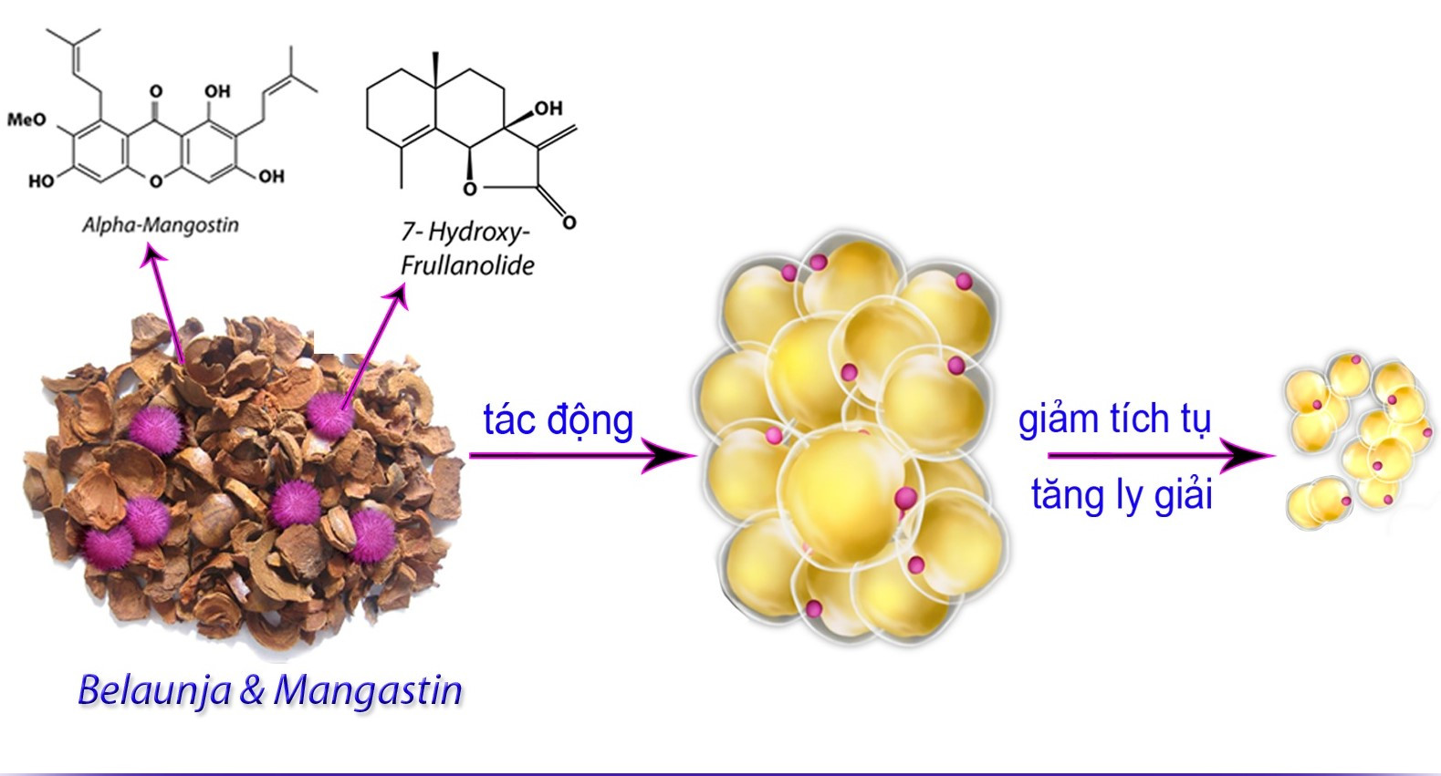 Thuốc Giảm Cân Không An Toàn – Nhận Diện Cách Nào?