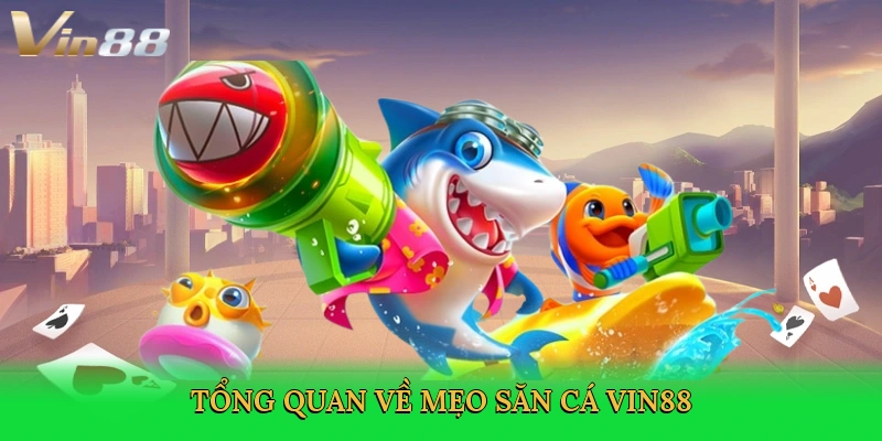 tong-quan-ve-meo-san-ca-vin88-2