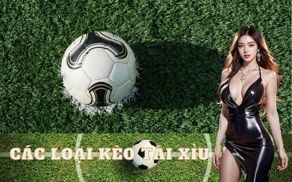 Các loại kèo Tài Xỉu