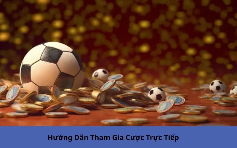 Hướng Dẫn Tham Gia Cược Trực Tiếp