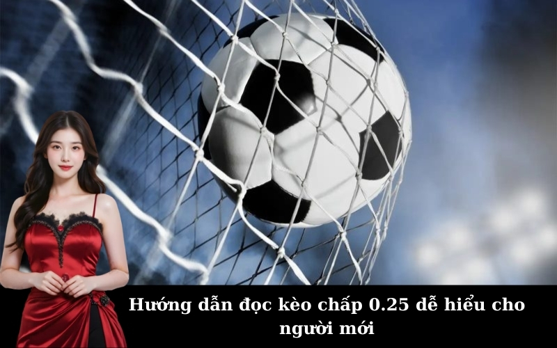 Hướng dẫn đọc kèo chấp 0.25 dễ hiểu cho người mới