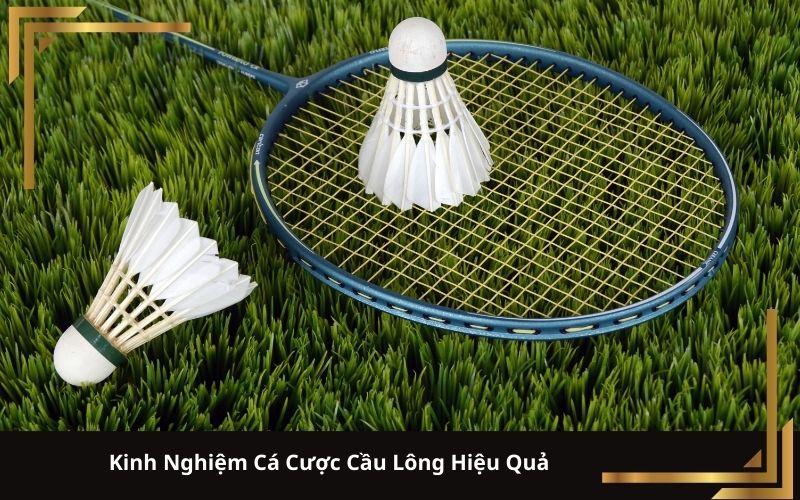 Kinh Nghiệm Cá Cược Cầu Lông Hiệu Quả