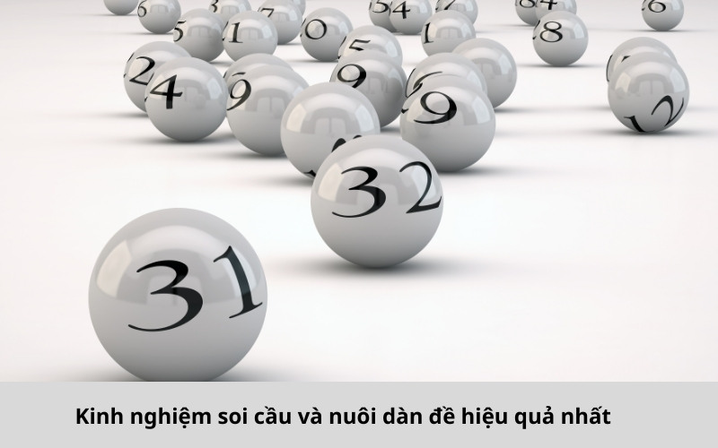 Kinh nghiệm soi cầu và nuôi dàn đề hiệu quả nhất.