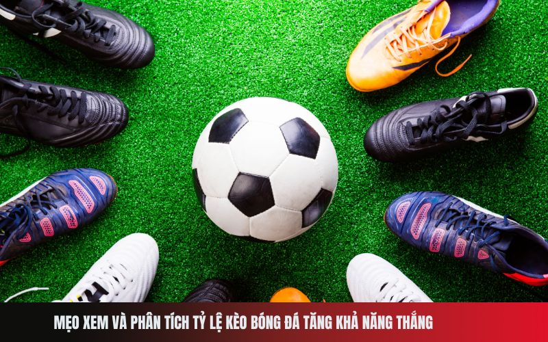 Mẹo xem và phân tích tỷ lệ kèo bóng đá tăng khả năng thắng