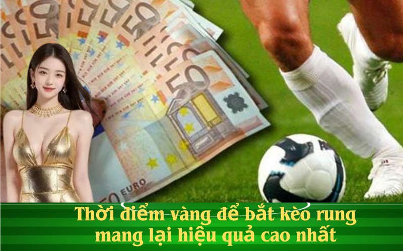Thời điểm vàng để bắt kèo rung mang lại hiệu quả cao nhất