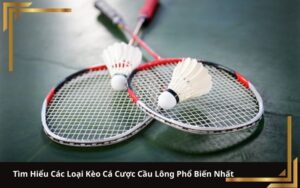 Cách giảm mỡ bụng bằng dầu dừa tốt như thế nào?