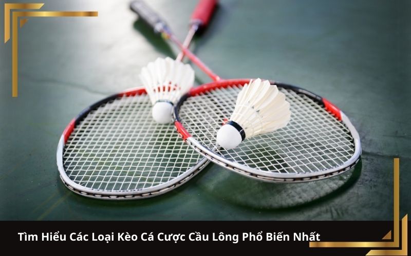 Tìm Hiểu Các Loại Kèo Cá Cược Cầu Lông Phổ Biến Nhất