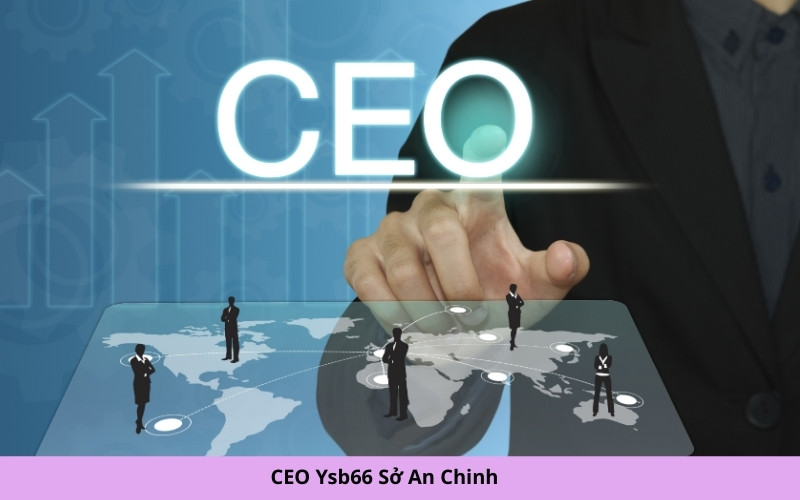 CEO Ysb66 Sở An Chinh