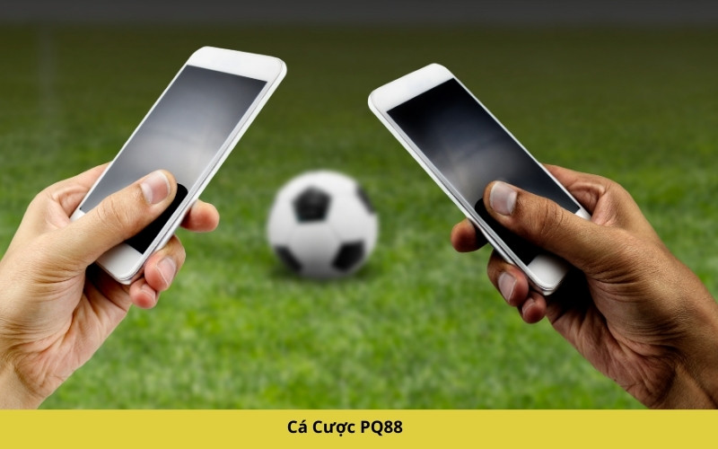 Cá Cược PQ88