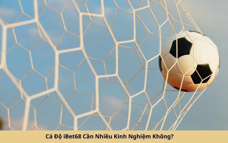 Cá Độ iBet68 Cần Nhiều Kinh Nghiệm Không