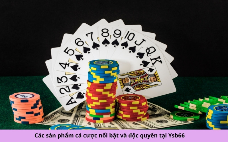 Các sản phẩm cá cược nổi bật và độc quyền tại Ysb66