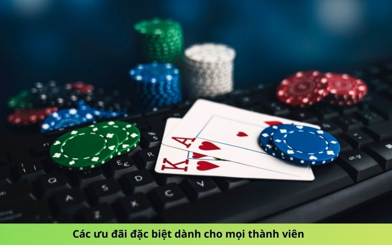 Các ưu đãi đặc biệt dành cho mọi thành viên