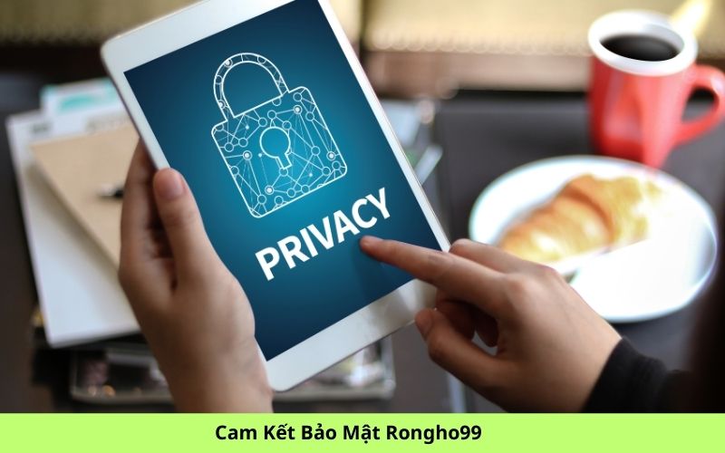 Cam Kết Bảo Mật Rongho99