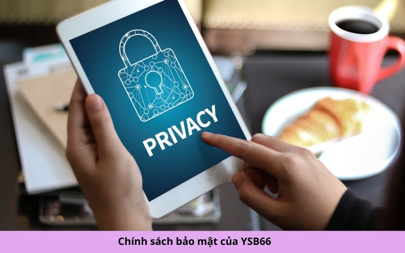 Chính sách bảo mật của YSB66