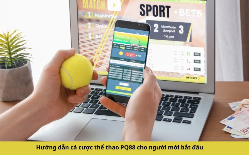 Hướng dẫn cá cược thể thao PQ88 cho người mới bắt đầu