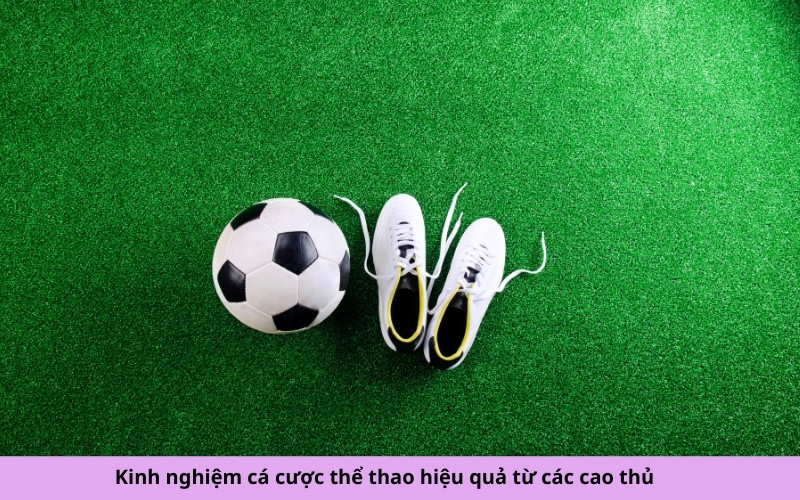 Kinh nghiệm cá cược thể thao hiệu quả từ các cao thủ