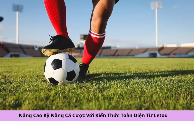 Nâng Cao Kỹ Năng Cá Cược Với Kiến Thức Toàn Diện Từ Letou
