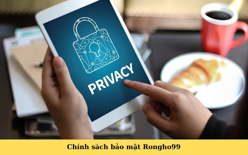Chính sách bảo mật Rongho99