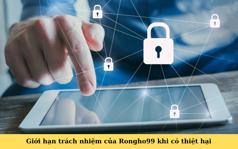 Giới hạn trách nhiệm của Rongho99 khi có thiệt hại