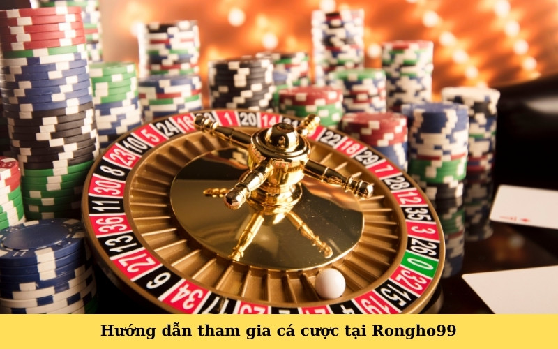 Hướng dẫn tham gia cá cược tại Rongho99
