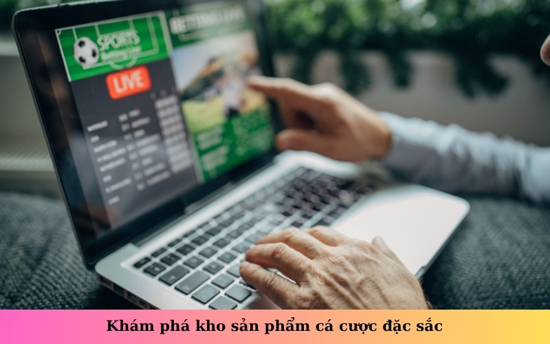 Khám phá kho sản phẩm cá cược đặc sắc